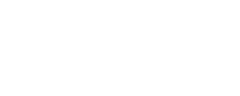 Centro Linceo